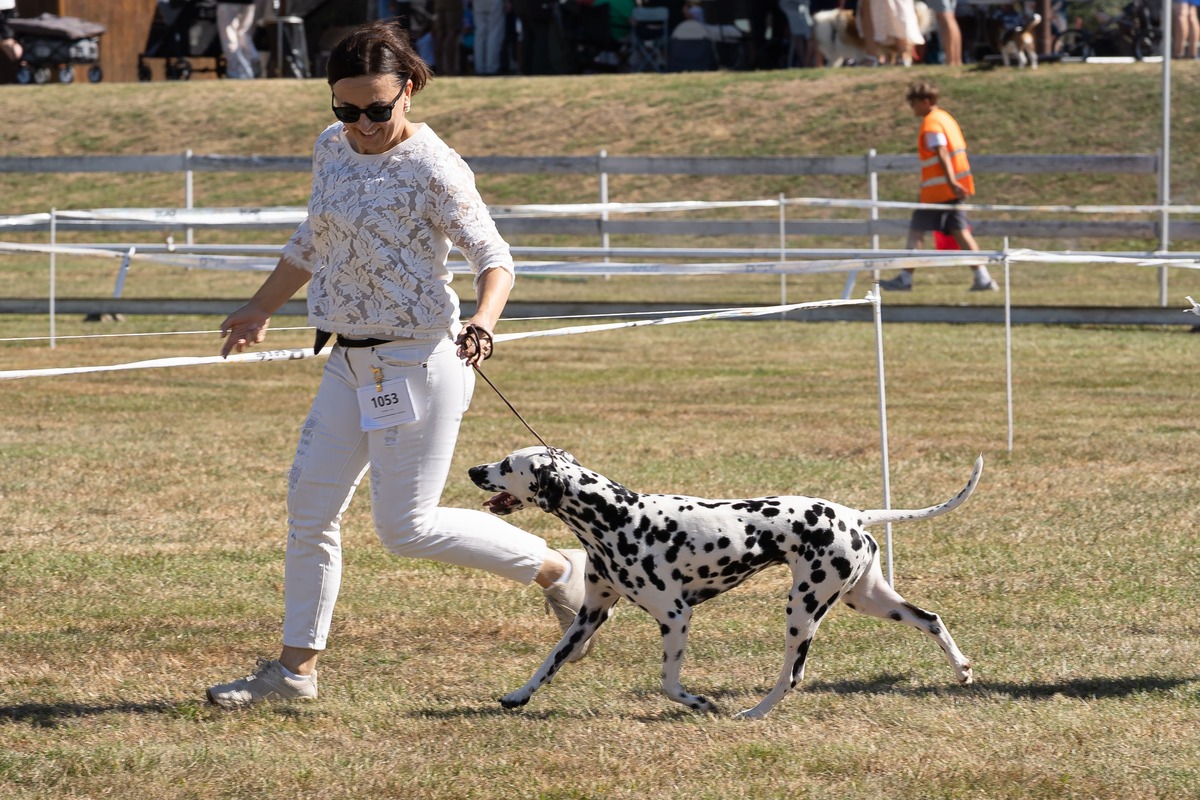 07632DSC07632 (1)